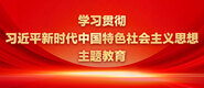 美女插逼学习贯彻习近平新时代中国特色社会主义思想主题教育_fororder_ad-371X160(2)